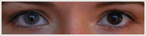 Acuvue 2 Colours - krycí / Šedá - 