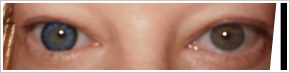 ColourVUE Big Eyes / Cool blue - 