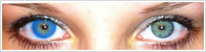 FreshLook Colors / Sapphire blue - 