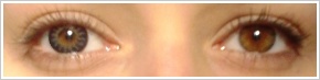 ColourVUE Glamour / Blue - 