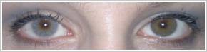FreshLook Colors / Misty gray - 