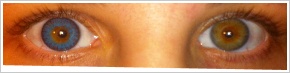 FreshLook ColorBlends / Briliant blue - 