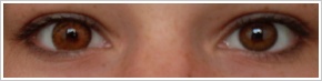 FreshLook ColorBlends / Honey - 