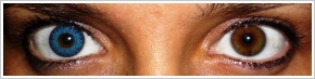 FreshLook ColorBlends / True sapphire - 