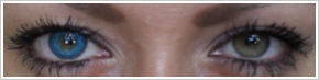 FreshLook ColorBlends / Briliant blue - 