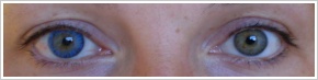 FreshLook ColorBlends / True sapphire - 