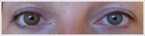 FreshLook ColorBlends / Honey - 