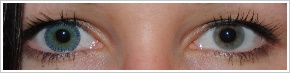 ColourVUE Fusion / Blue/yellow - 