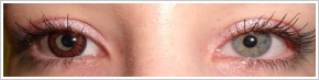 ColourVUE Big Eyes / Pretty hazel - 