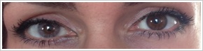 FreshLook Colors / Misty gray - 
