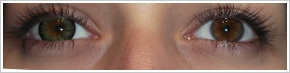 ColourVUE Big Eyes / Party green - 