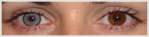 SofLens Natural Colors / Platinum - 