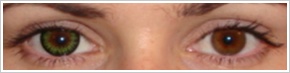 ColourVUE Big Eyes / Party green - 