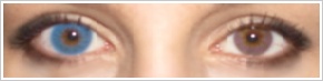 FreshLook Colors / Sapphire blue - 
