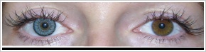 SofLens Natural Colors / Pacific - 