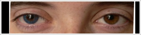 FreshLook ColorBlends / True sapphire - 