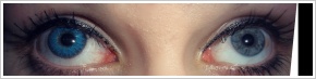 FreshLook ColorBlends / Briliant blue - 