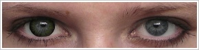 ColourVUE Big Eyes / Party green - 