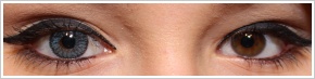 SofLens Natural Colors / Pacific - 