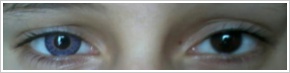 Acuvue 2 Colours - krycí / Safírová -
