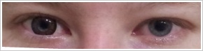 ColourVUE Big Eyes / Pretty hazel - 
