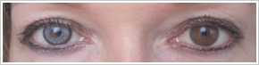 SofLens Natural Colors / Platinum - 