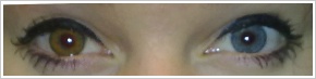 FreshLook ColorBlends / Honey - 