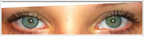 SofLens Natural Colors / Platinum - 