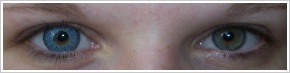 Acuvue 2 Colours - krycí / Modrá -
