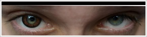 ColourVUE Big Eyes / Pretty hazel -