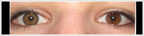 ColourVUE 3 Tones / Green - 
