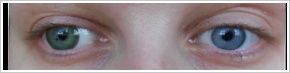 Magic Eye (2 čočky) - nedioptrické / Green -