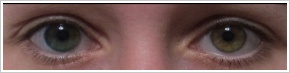 Acuvue 2 Colours - tónovací / Modrá -