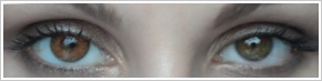FreshLook ColorBlends / Honey - 