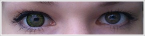 Acuvue 2 Colours - krycí / Modrá -