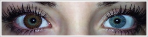 FreshLook ColorBlends / Chestnut brown -
