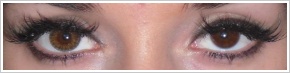 FreshLook ColorBlends / Pure hazel -