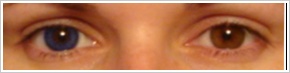 Acuvue 2 Colours - krycí / Safírová -