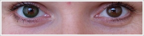 FreshLook Dimensions / Sea green - 