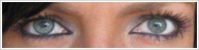 SofLens Natural Colors / Platinum -