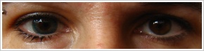 FreshLook ColorBlends / Turquoise -