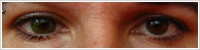 FreshLook ColorBlends / Gemstone green -