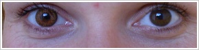 FreshLook ColorBlends / Honey - 