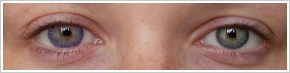 FreshKon Colors Fusion / Romantic violet -