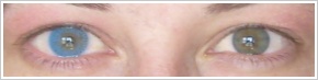 FreshLook Colors / Sapphire blue - 