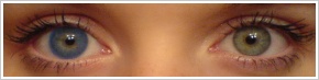 FreshLook Colors / Sapphire blue - 