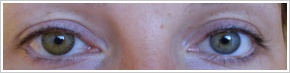 FreshLook ColorBlends / Pure hazel - 
