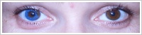 Acuvue 2 Colours - krycí / Modrá -