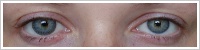 FreshLook ColorBlends / Sterling grey -