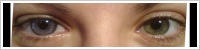 SofLens Natural Colors / Indigo -